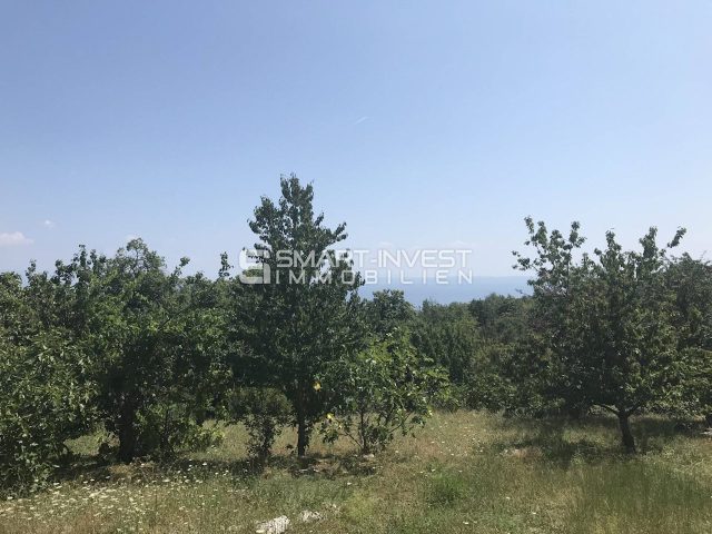 Zemljište na prodaju 1000 m² – Veprinac