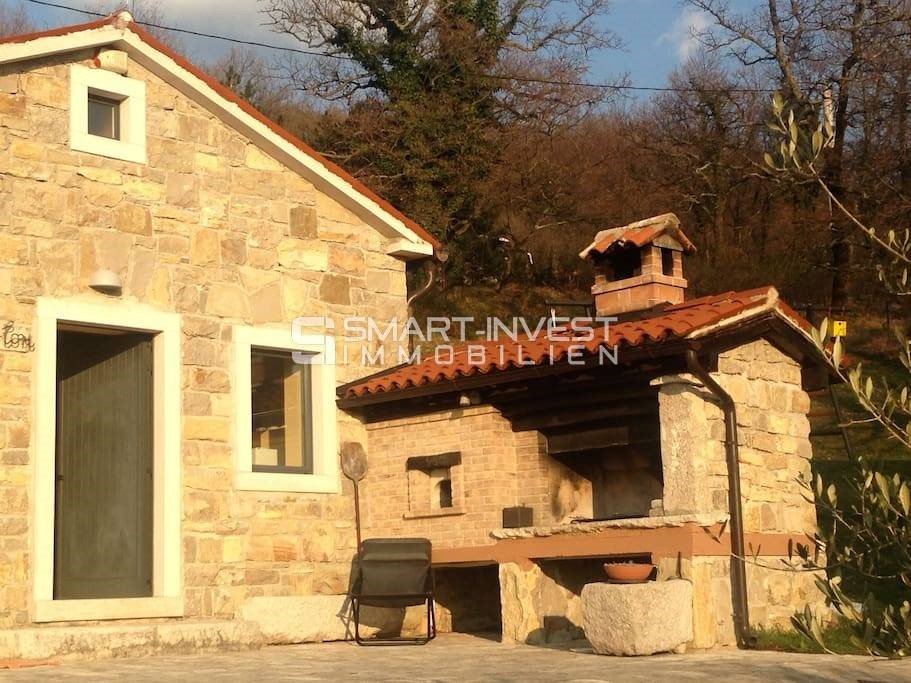 House For sale - ISTARSKA  LUPOGLAV 