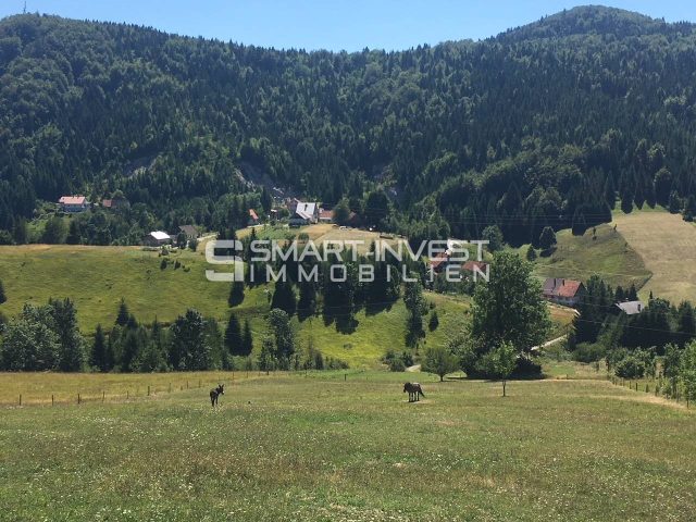 Pozemok na predaj 84600 m² – Ravna Gora