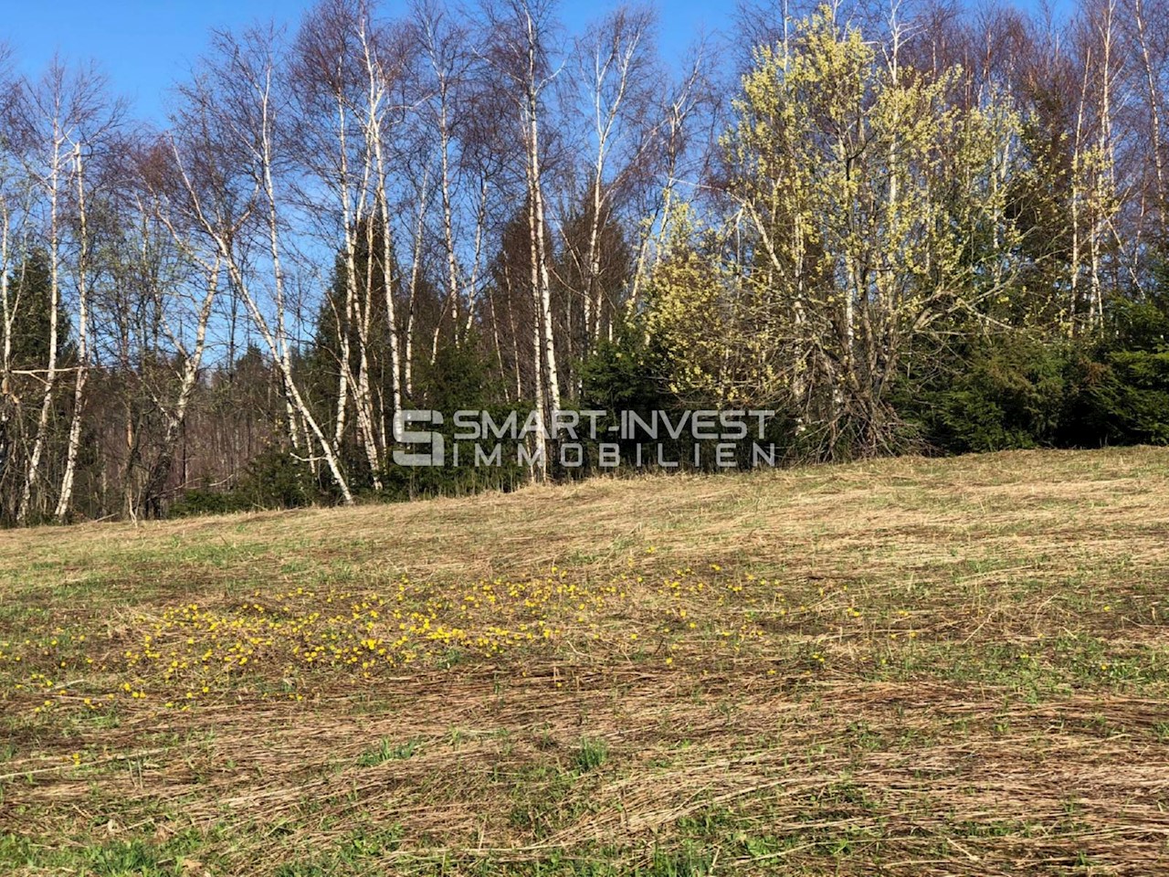 Zemljište Na prodaju - Primorsko-goranska Ravna Gora - foto 3/6