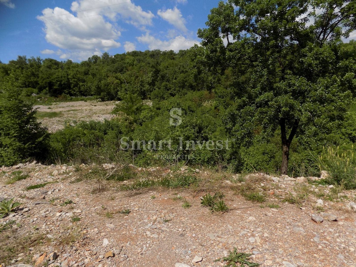 Terreno In vendita