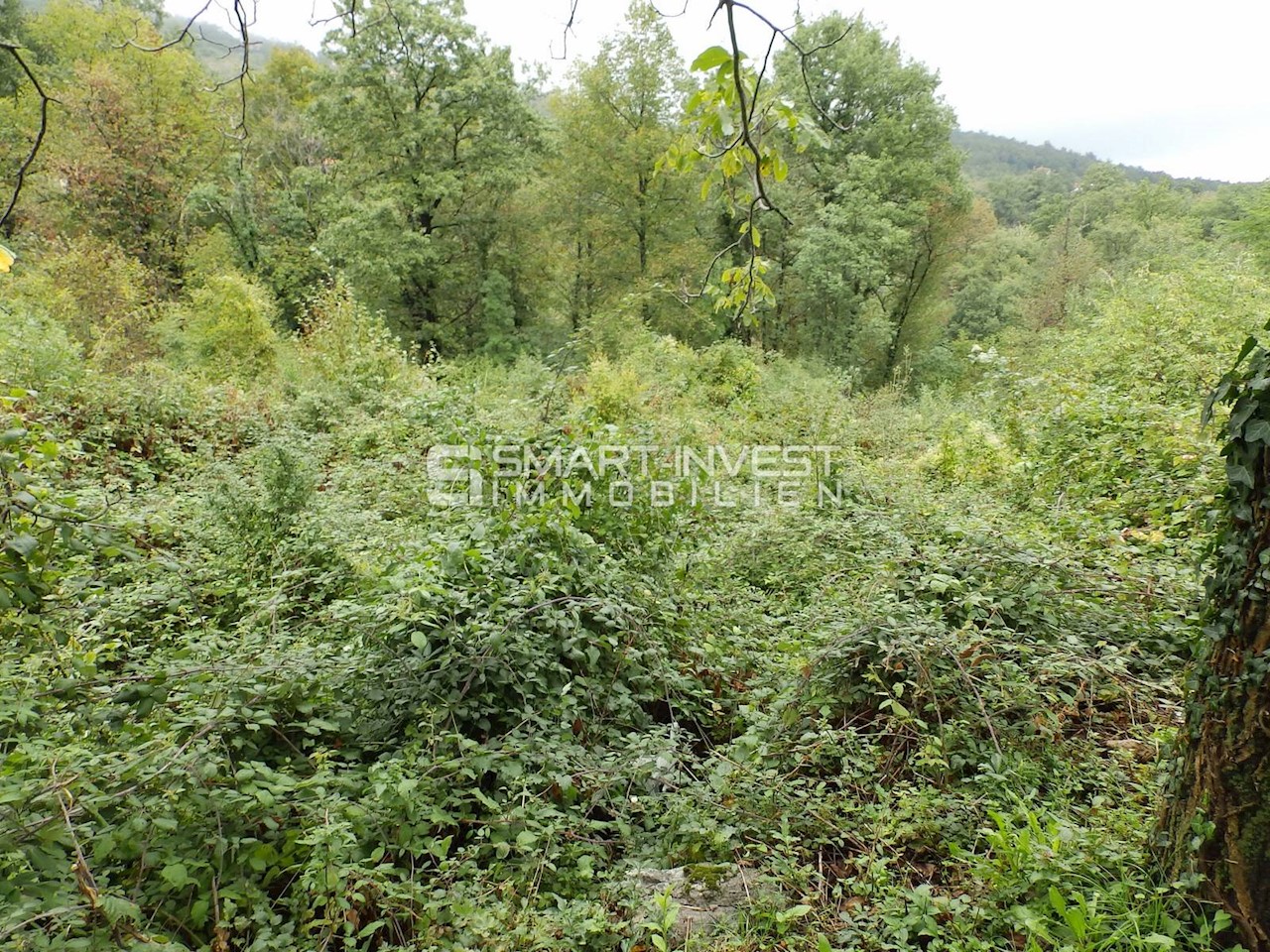 Land For sale - PRIMORSKO-GORANSKA  MATULJI 