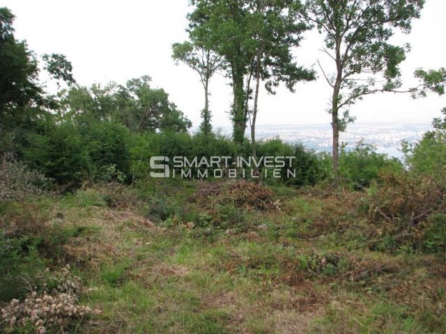 Pozemek na prodej 3018 m² – Veprinac
