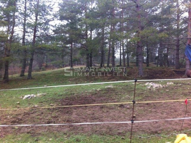 Terreno in vendita 16000 m² – Rupa