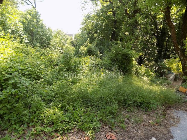 Pozemek na prodej 1724 m² – Cernik