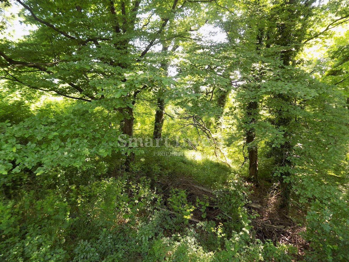 Terreno In vendita - PRIMORSKO-GORANSKA  ČAVLE 