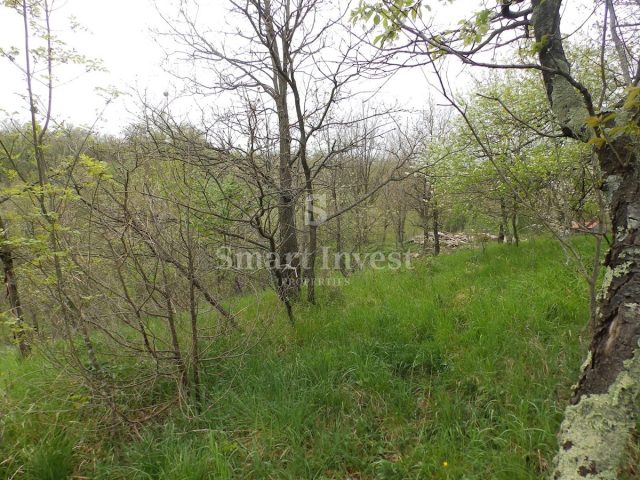 Land For sale - Primorsko-goranska Viškovo - foto 4/7
