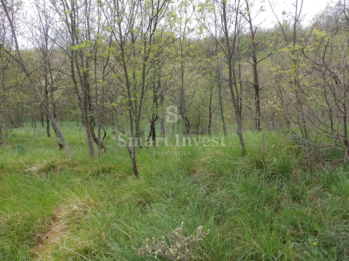 Zemljište Na prodaju - PRIMORSKO-GORANSKA  VIŠKOVO 