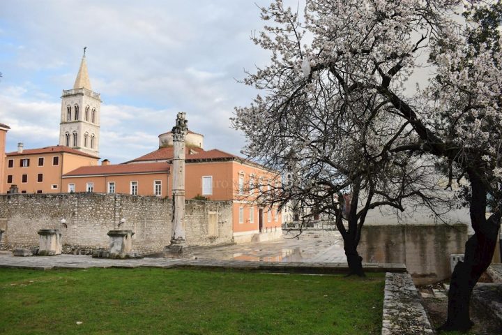 Hiša Naprodaj - Zadarska Zadar - foto 3/10