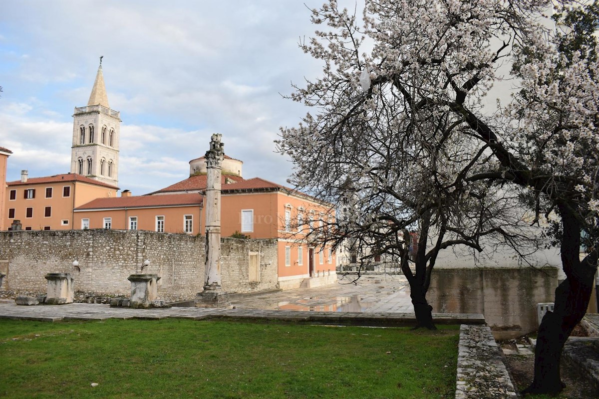 Maison À vendre - ZADARSKA  ZADAR 