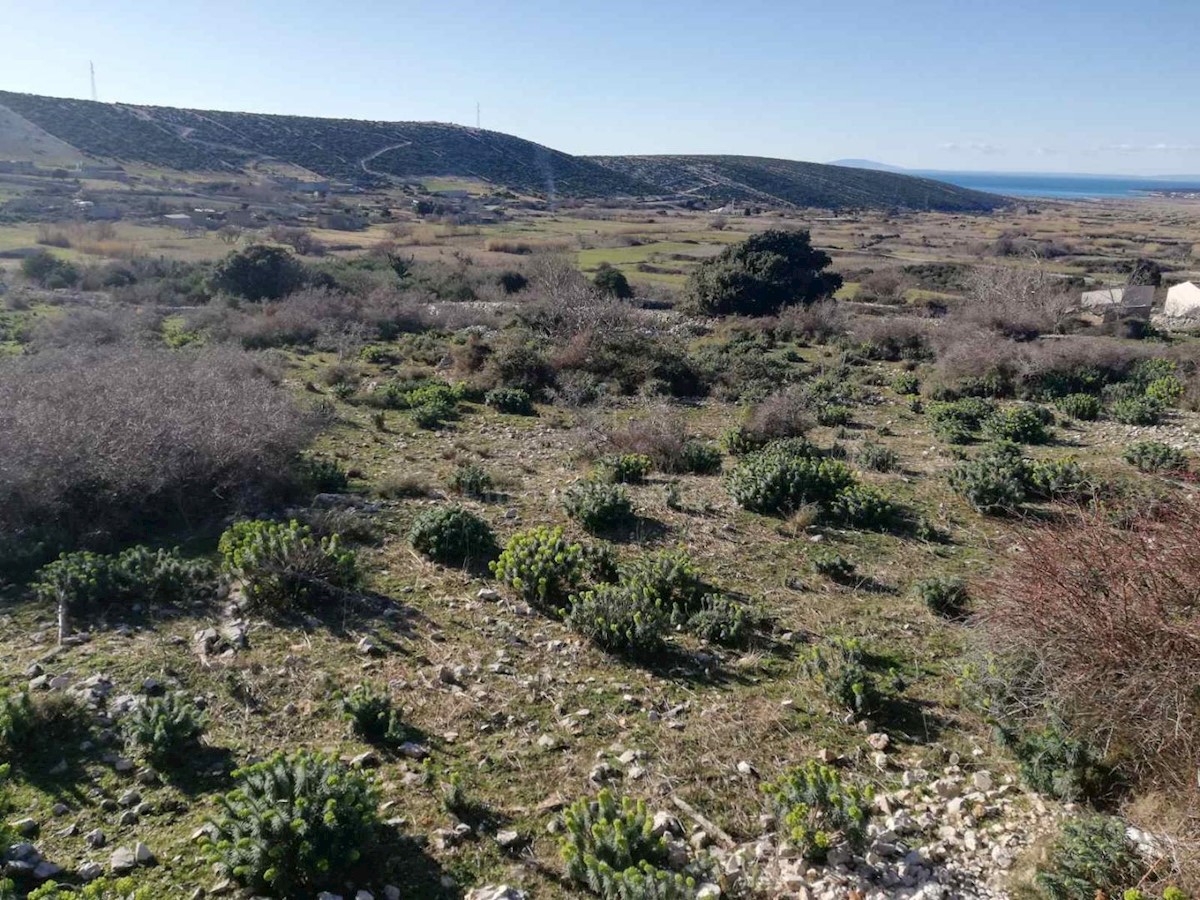 Terreno In vendita - ZADARSKA  PAG 