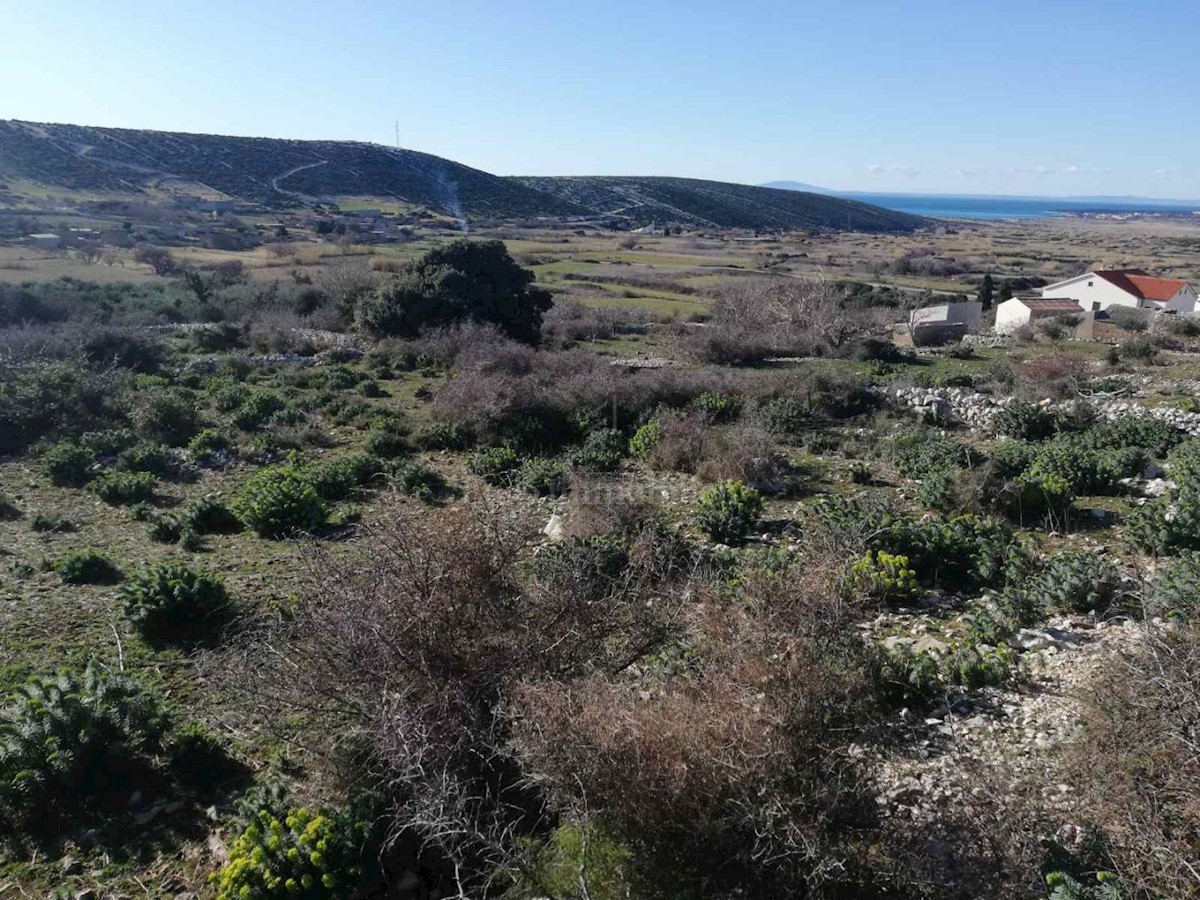 Land For sale - ZADARSKA  PAG 