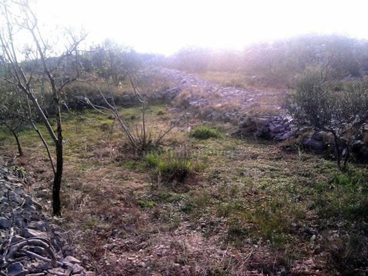 Działka Na sprzedaż - Primorsko-goranska Krk - foto 1/1