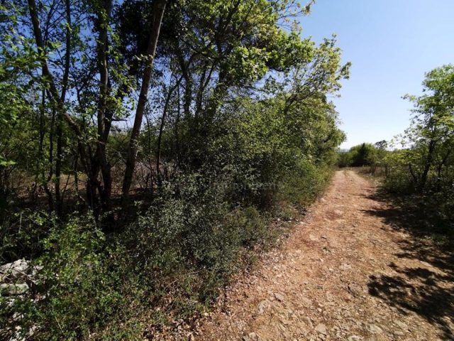 Land for sale 5400 m² – Šajini