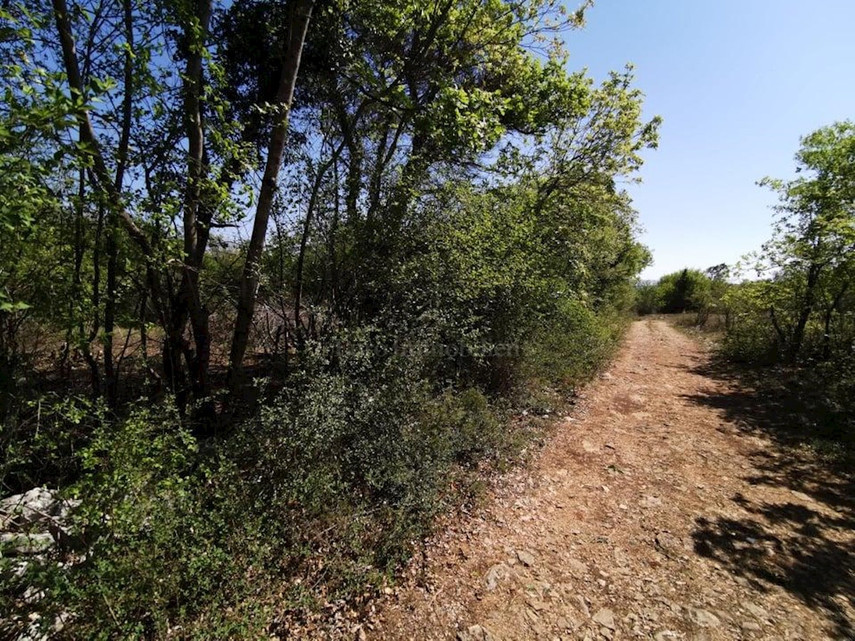 Land For sale ŠAJINI