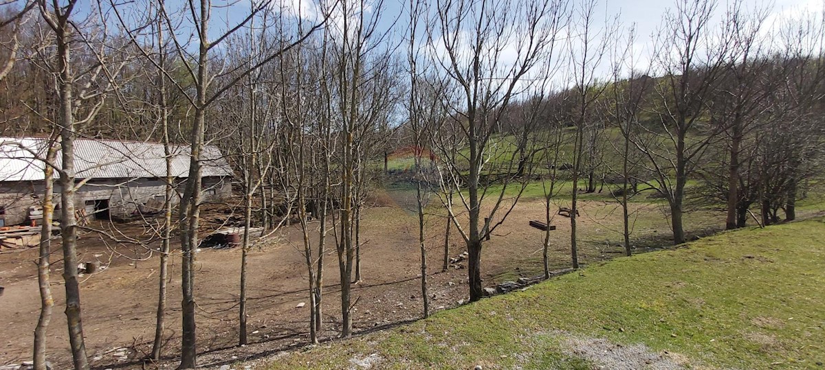 Terreno In vendita - PRIMORSKO-GORANSKA  JELENJE 