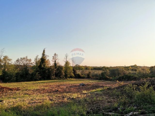 Pozemok na predaj 3618 m² – Brtonigla
