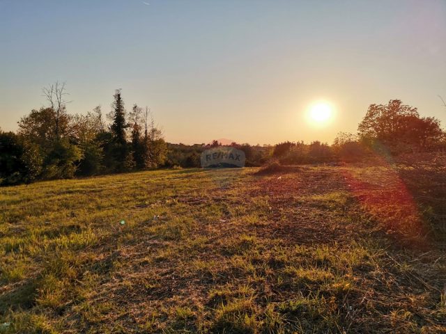 Działka Na sprzedaż - Istarska Brtonigla - foto 4/6