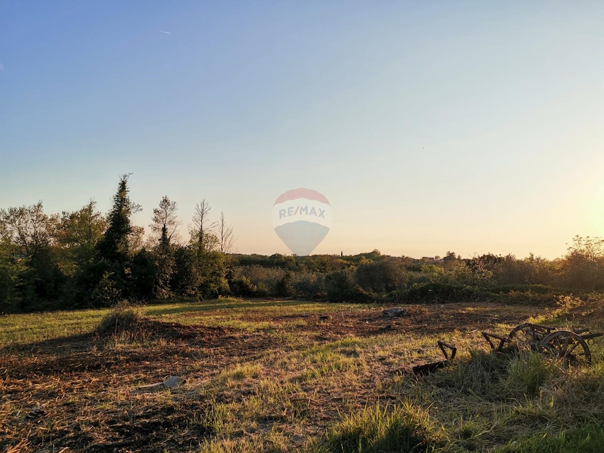 Terrain À vendre - Istarska Brtonigla - foto 2/6