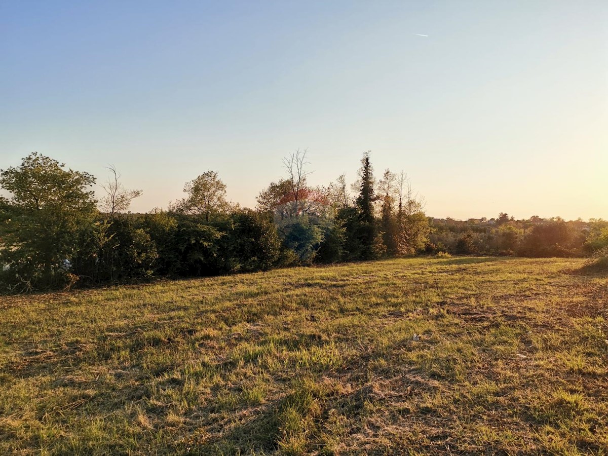 Terrain À vendre - Istarska Brtonigla - foto 5/6