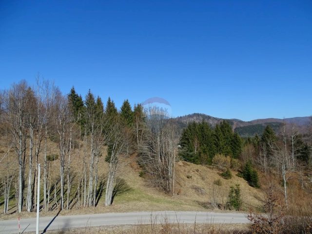 Parcela Naprodaj - Primorsko-goranska Mrkopalj - foto 2/8