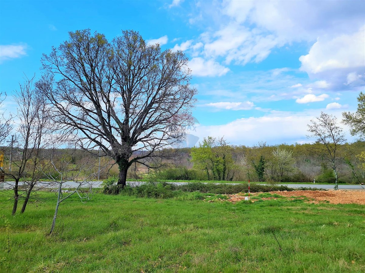 Terreno In vendita - ISTARSKA  BRTONIGLA 