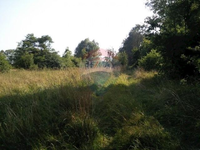 Terreno In vendita - Istarska Lupoglav - foto 3/3