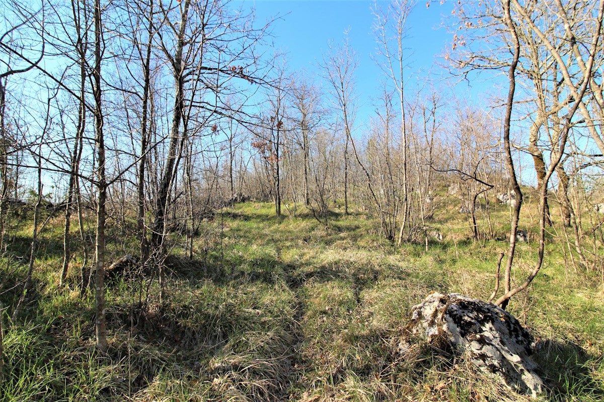 Zemljište Na prodaju - PRIMORSKO-GORANSKA  MATULJI 