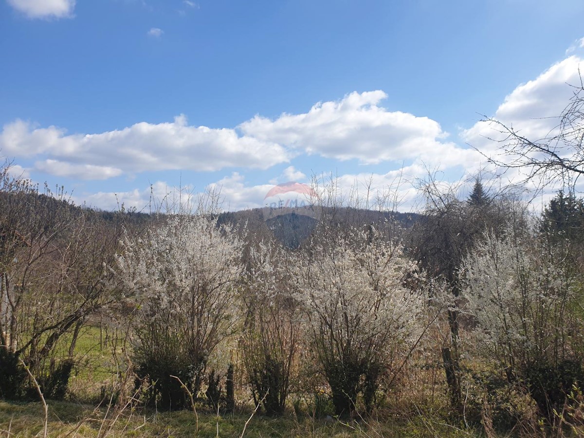 Dom Na sprzedaż - PRIMORSKO-GORANSKA  VRBOVSKO 