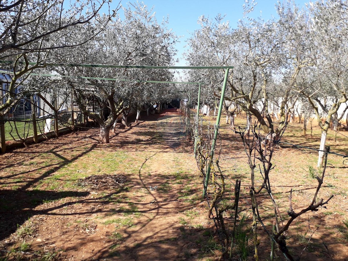 House For sale - ISTARSKA  MEDULIN 