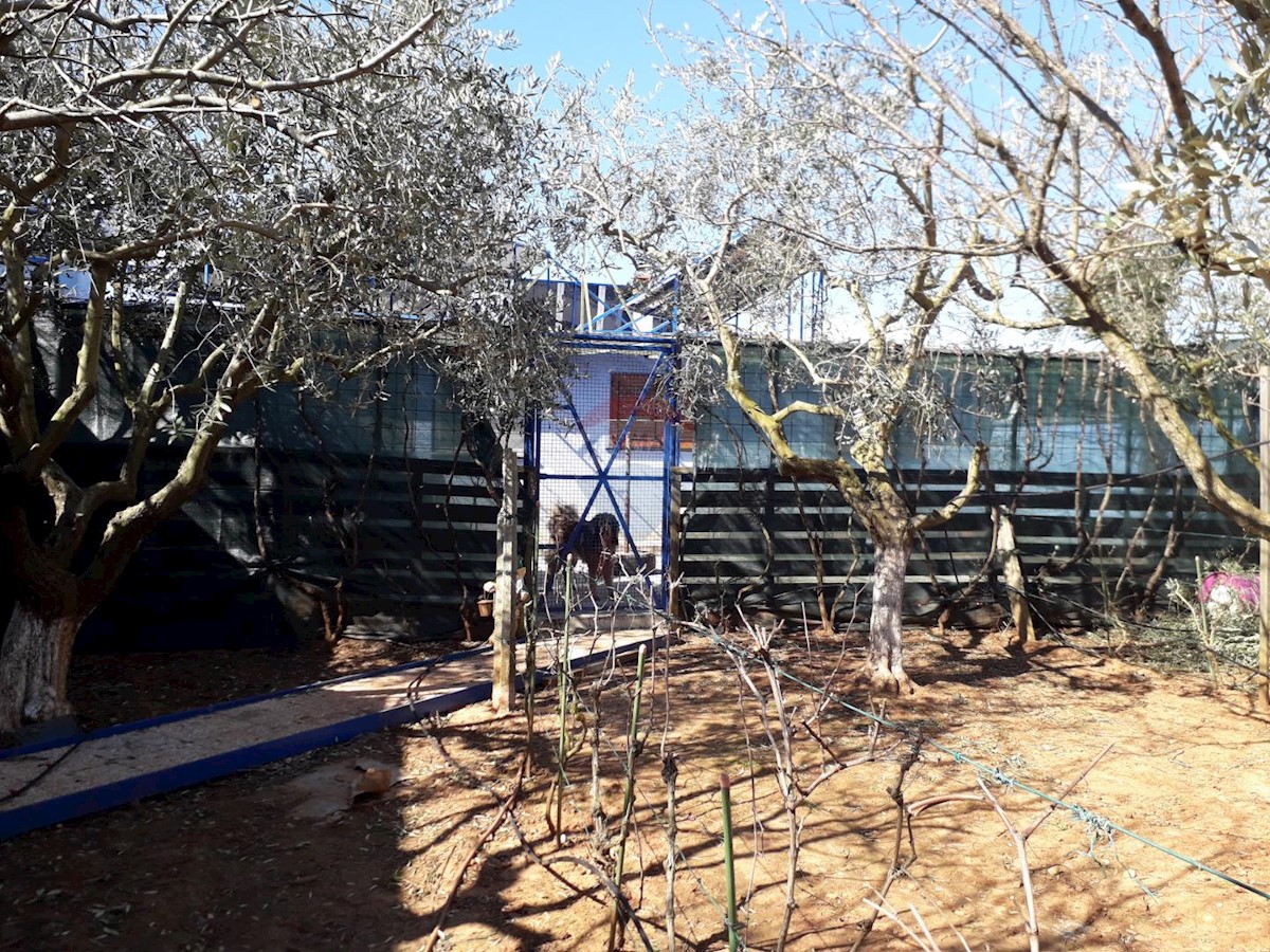 House For sale - ISTARSKA  MEDULIN 