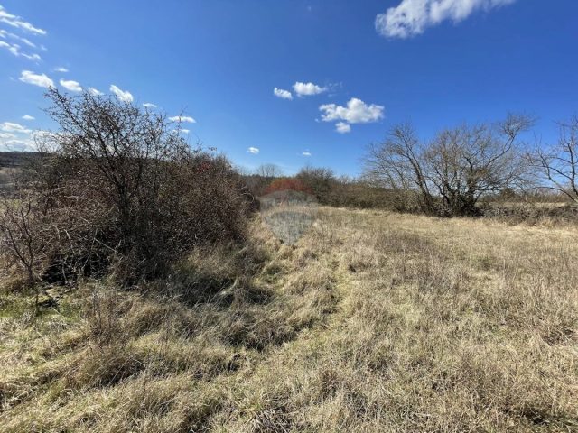 Land for sale 3870 m² – Grožnjan