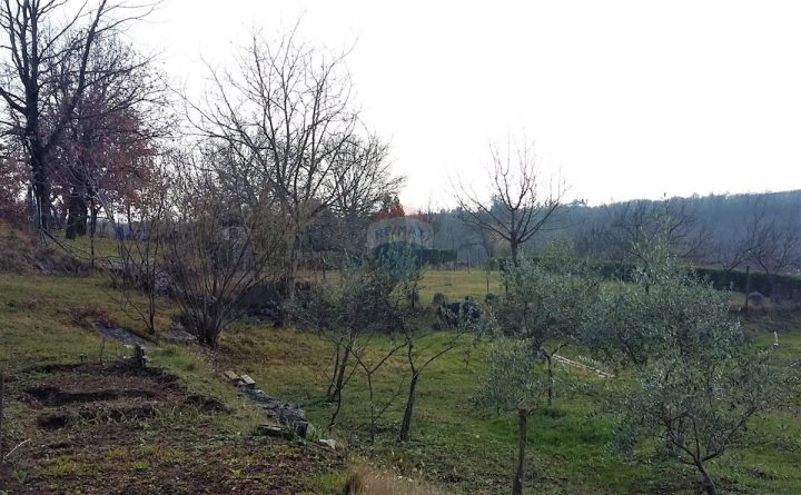 Zemljište Na prodaju - Istarska Brtonigla - foto 2/2