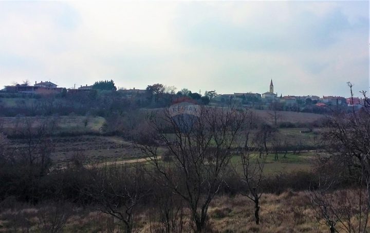 Parcela Naprodaj - Istarska Brtonigla - foto 3/3
