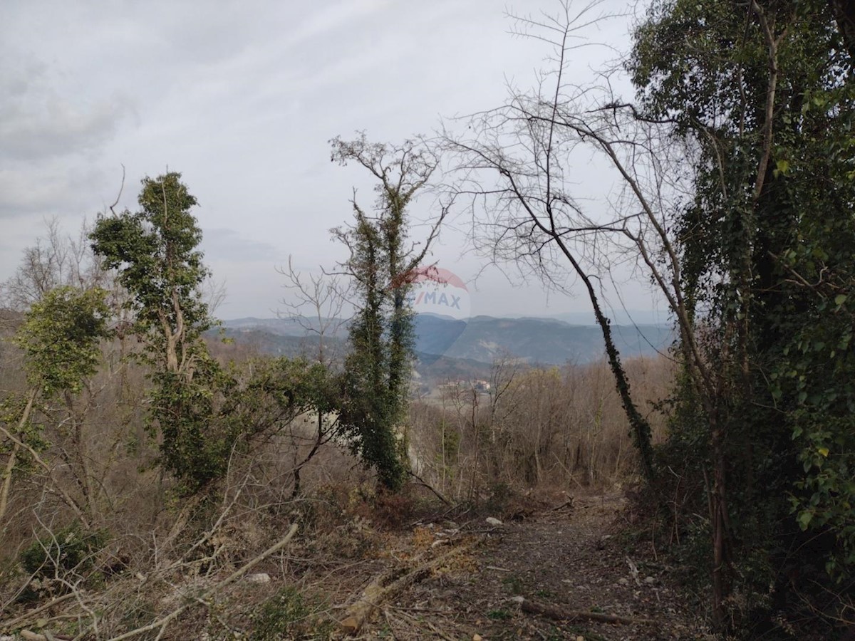 Terreno In vendita - ISTARSKA  PIĆAN 