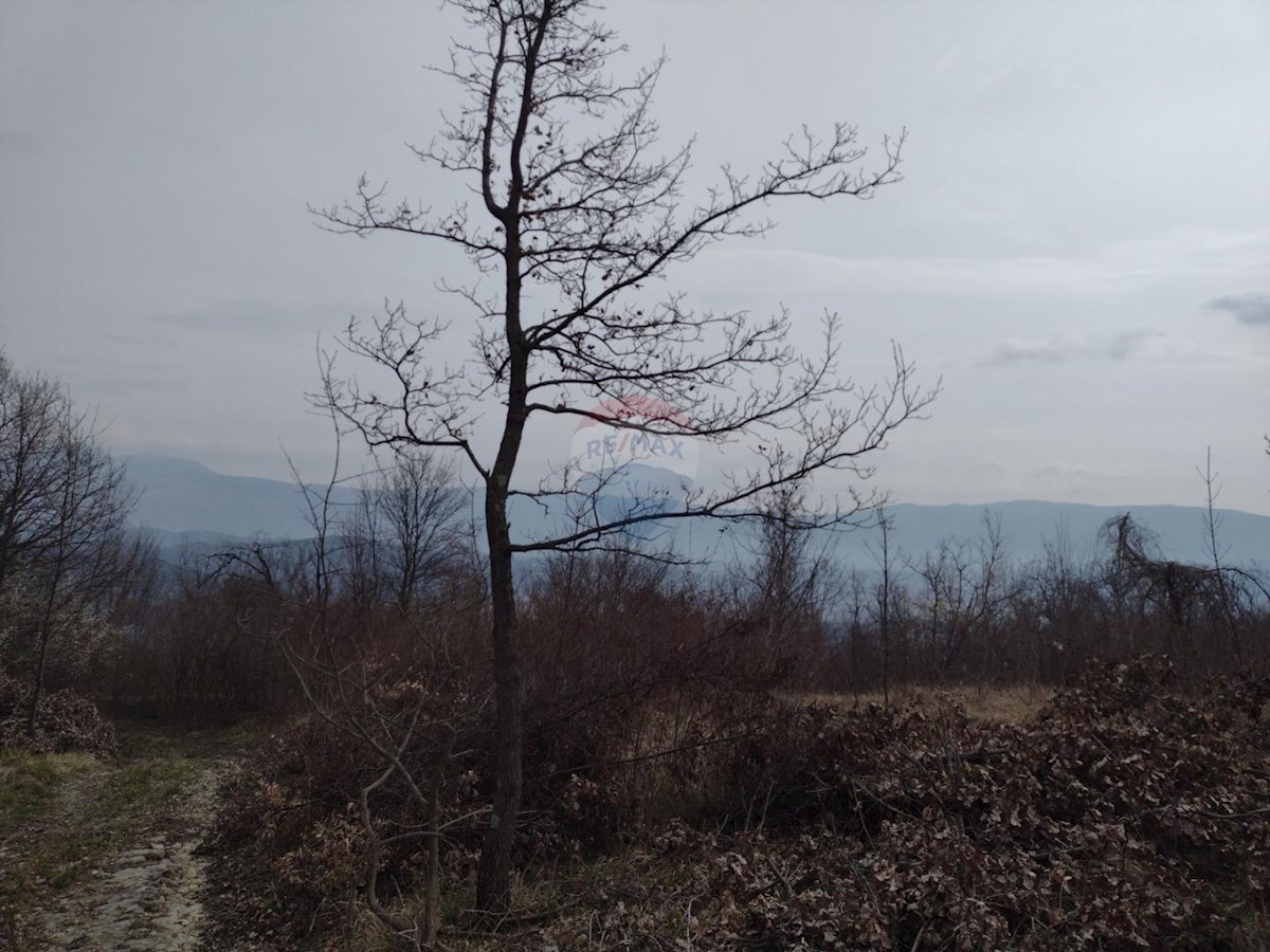 Terreno In vendita - ISTARSKA  PIĆAN 