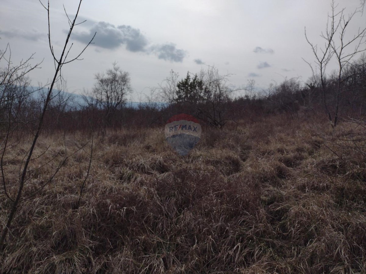 Terreno In vendita - ISTARSKA  PIĆAN 