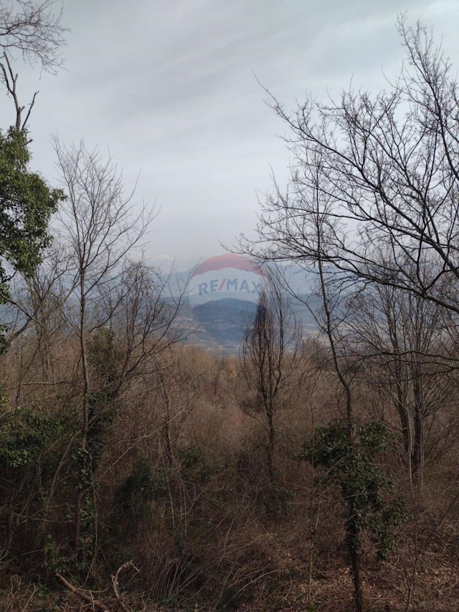 Terreno In vendita - ISTARSKA  PIĆAN 