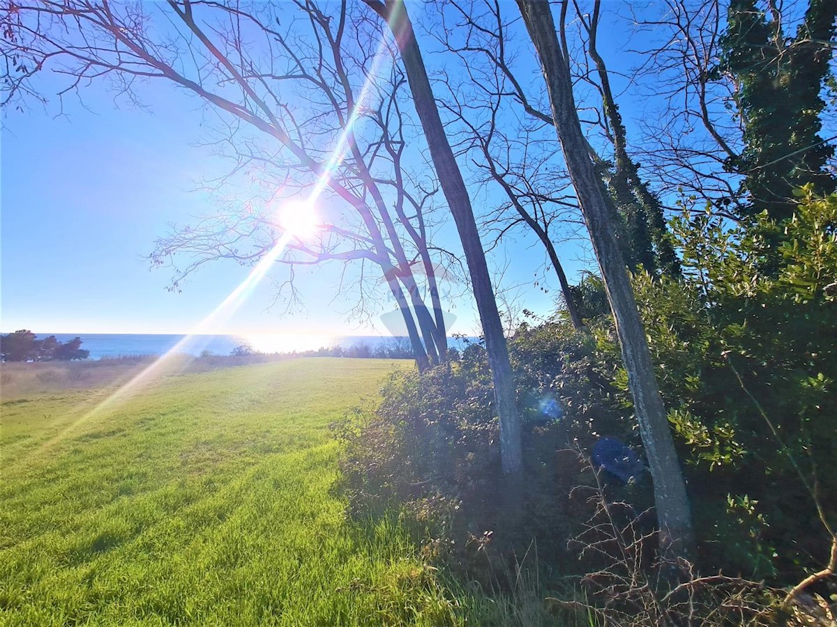 Pozemok Na predaj - ISTARSKA  UMAG 