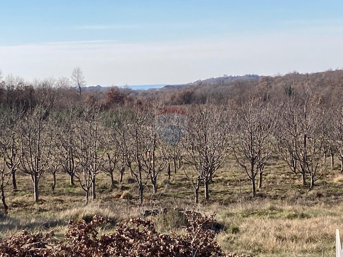 Hiša Naprodaj - ISTARSKA  Sveti Lovreč