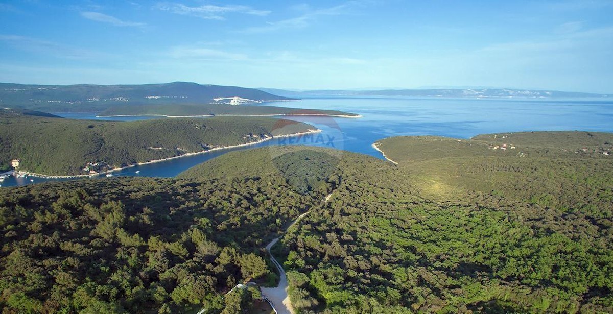 Terreno In vendita