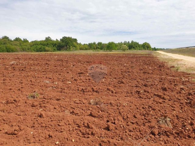 Land for sale 47489 m² – Bačva