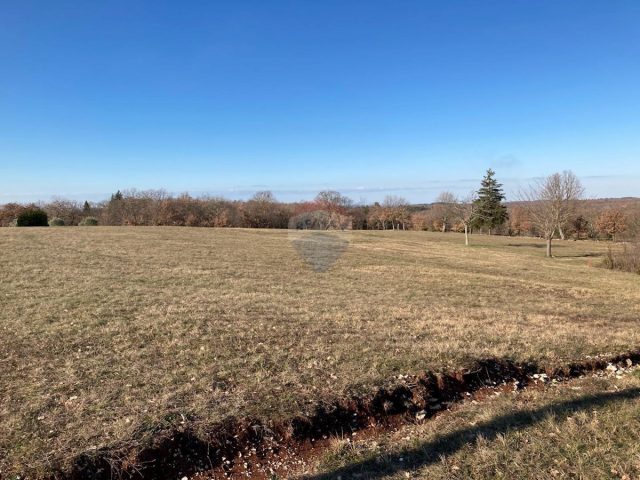 Parcela za najem 11623 m² – Jakovici
