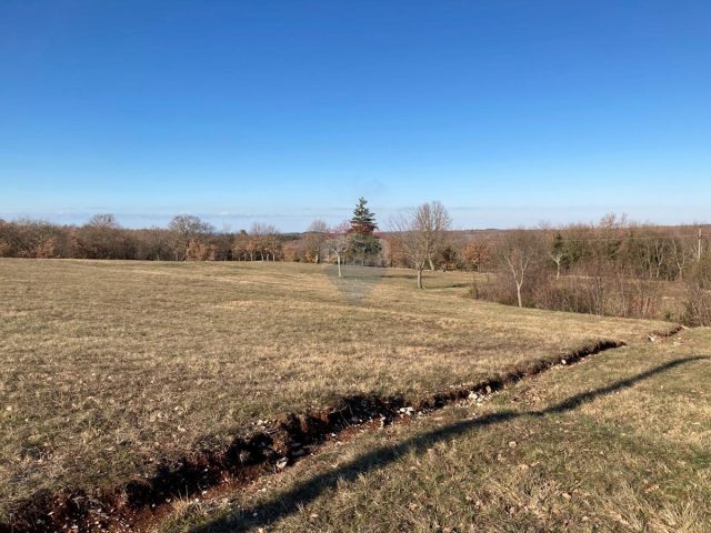 Land For rent - Istarska Tinjan - foto 3/3