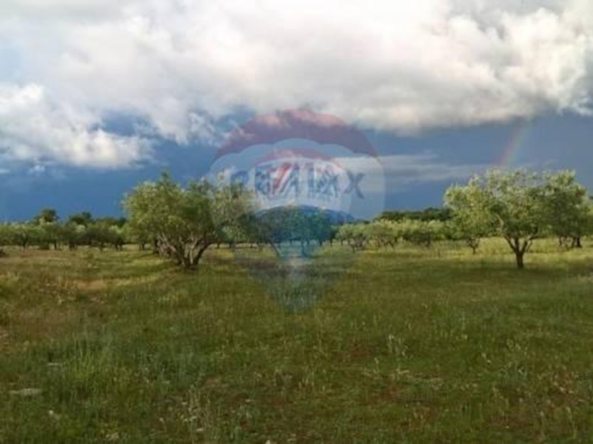 Land For sale - ISTARSKA  TAR-VABRIGA 