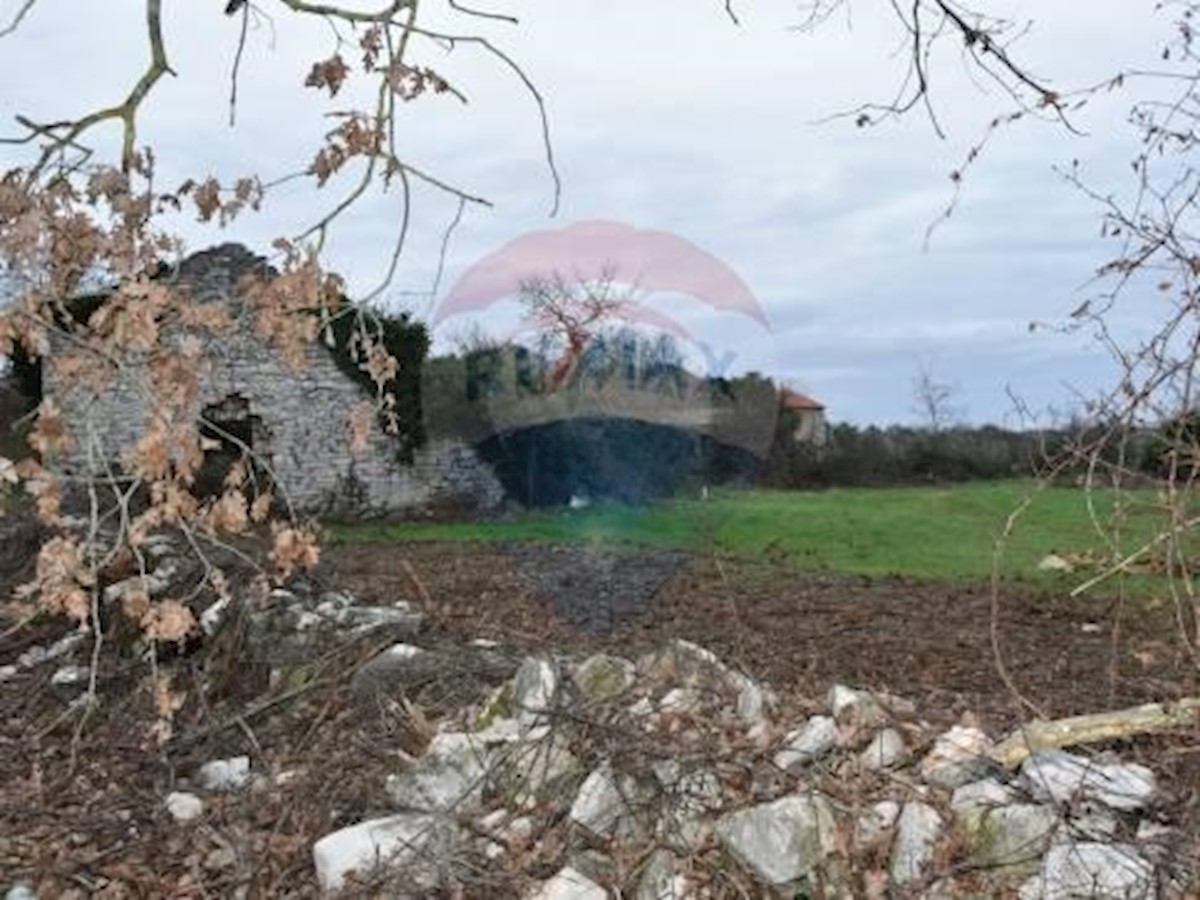 Terreno In vendita - ISTARSKA  TAR-VABRIGA 