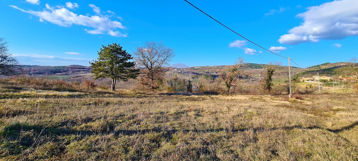 Land For sale - ISTARSKA  BUJE 