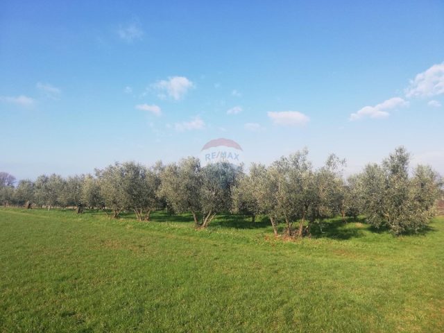 Terrain À vendre - Istarska Novigrad - foto 3/7