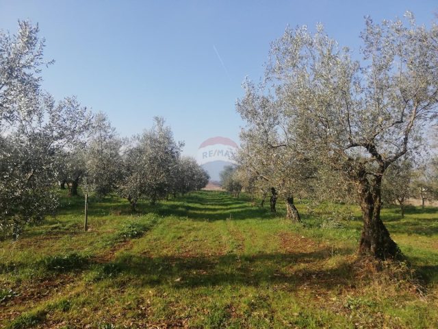 Terrain À vendre - Istarska Novigrad - foto 4/7