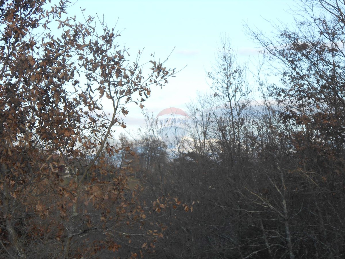 Pozemok Na predaj - ISTARSKA  PAZIN 